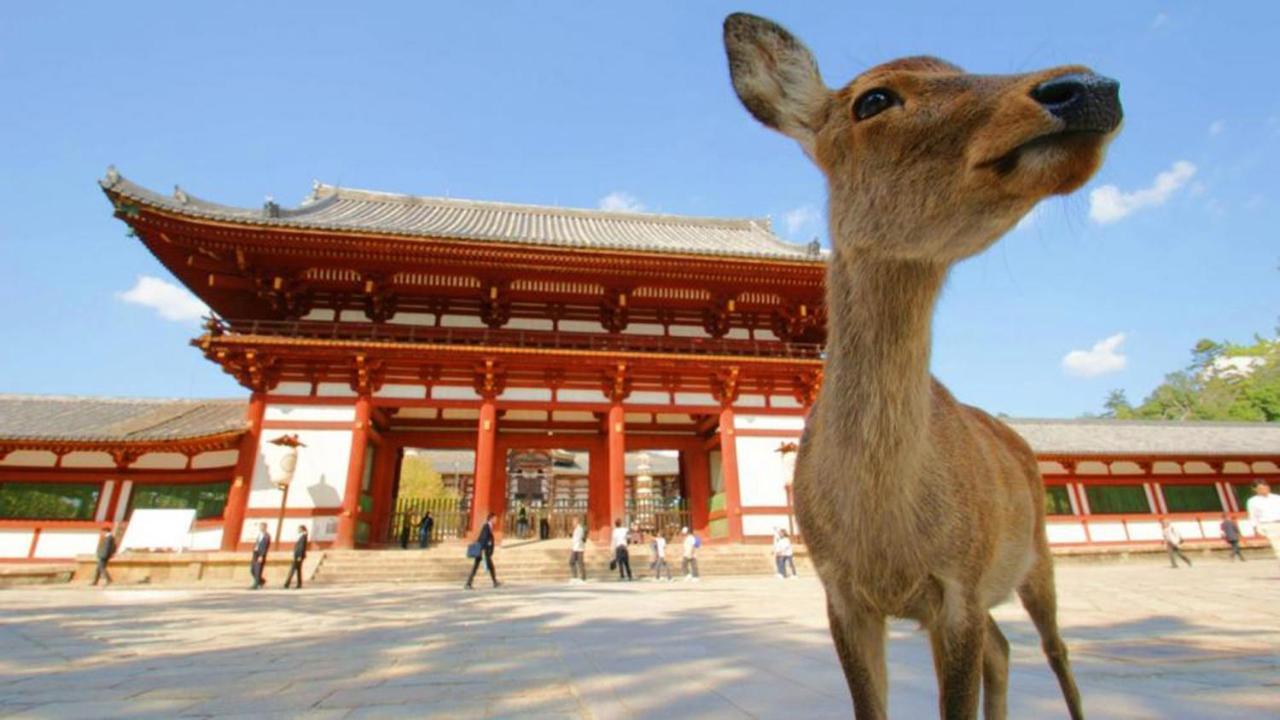 中川西 地下鉄今里駅一戸建 Samurai House Guest House Imazato 難波直通 最大7名 Osaka Buitenkant foto